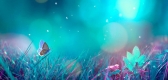 Ů�̵����磨�ϣ�
